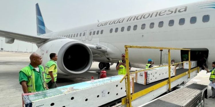 Garuda Indonesia, Citilink, Pelita Air Trio Penerbangan yang Siap Merger