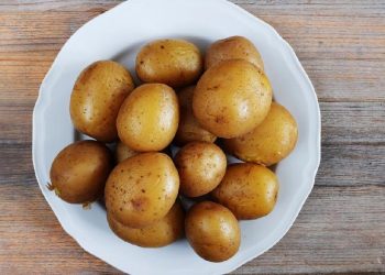 Calbee Jepang dan Upaya Meredam Krisis Pasokan Kentang